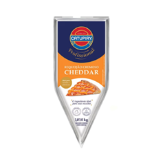 REQ. CHEDDAR CATUPIRY BISNAGA  1,01KG